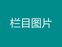 社会